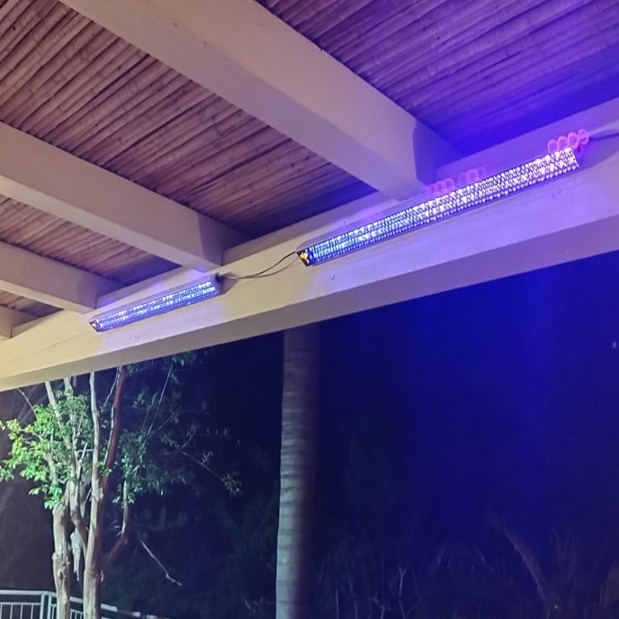 כמה יפה ככה קטלן