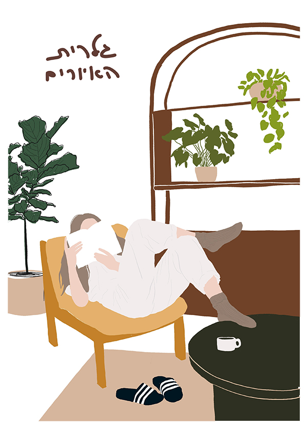 איורים