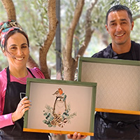 שרית כהן