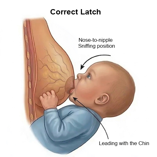 correct nursing latch
