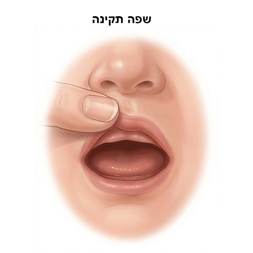 שפה תקינה