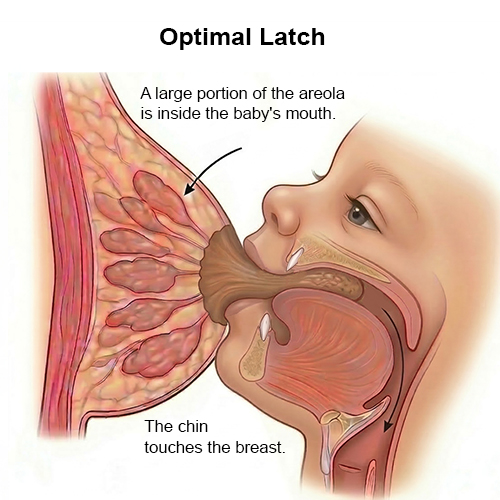 Optimal Latch illustration
