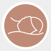 Icon illustration of a head lying on a pillow