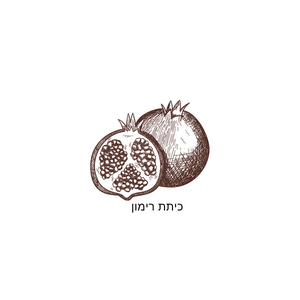 האתר שלי