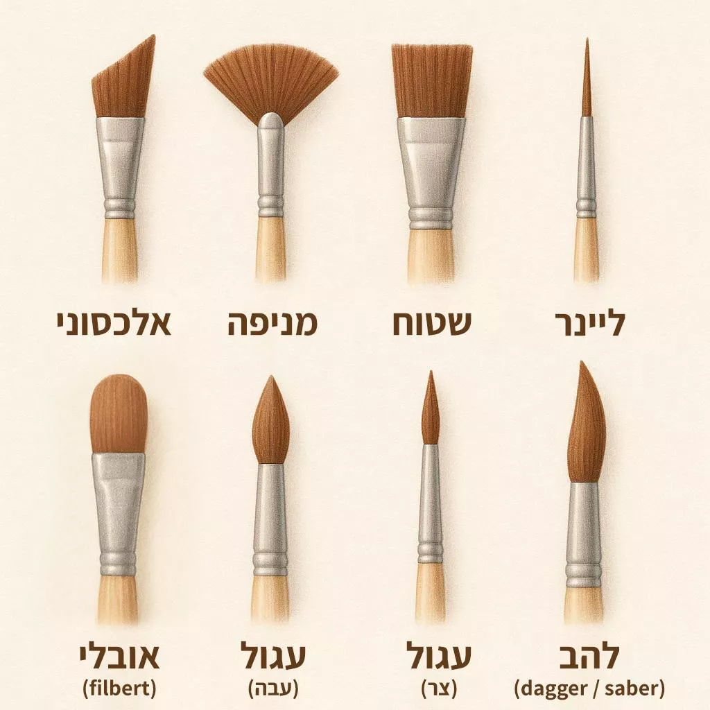 אילוסטרציה של צורות ראש מכחול